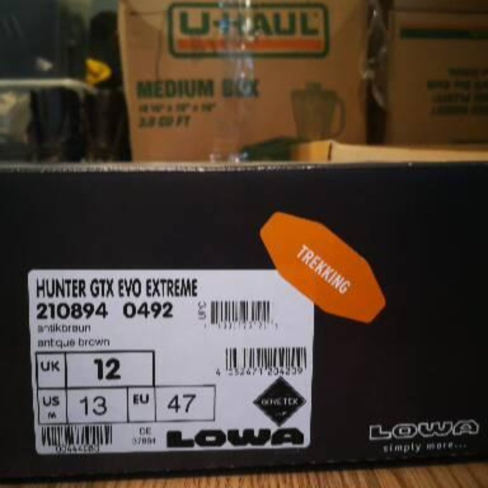 Lowa Trekking Shoes